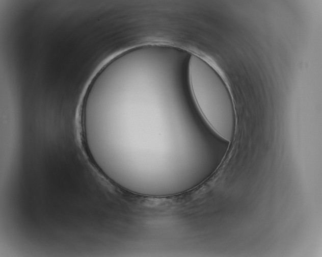 X0000102861056200808181021