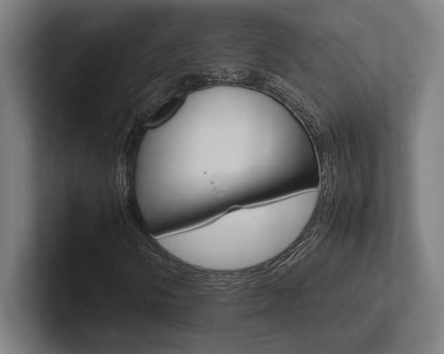 X0000102861058200808181021