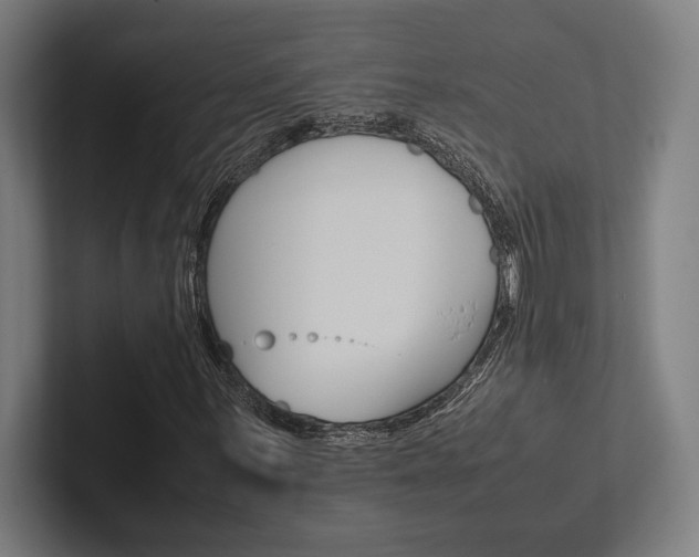X0000102861059200808181021