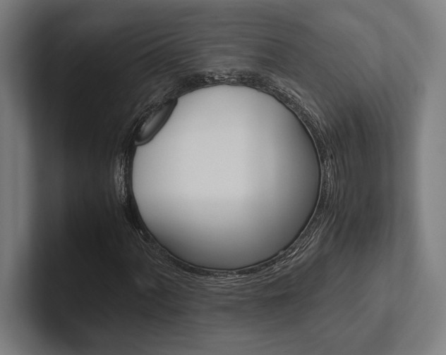 X0000102861060200808181021