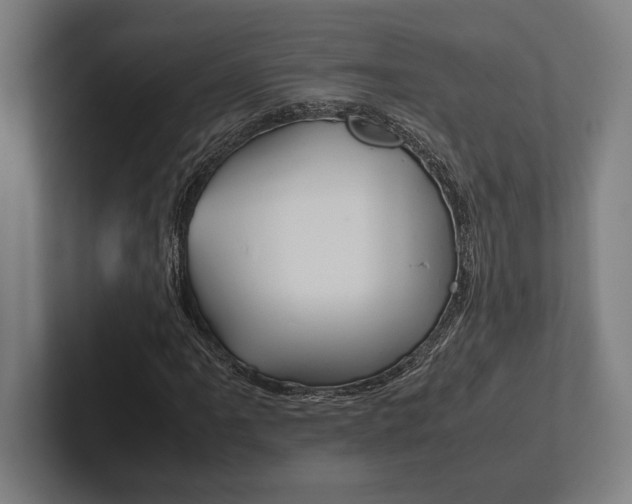 X0000102861061200808181021