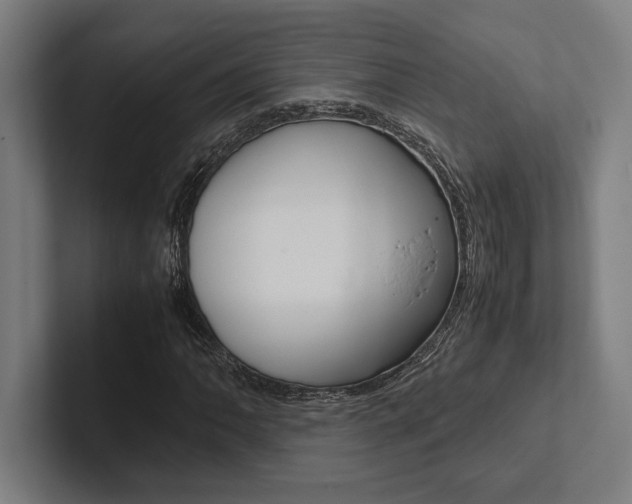 X0000102861062200808181021
