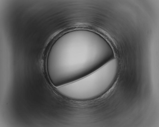 X0000102861066200808181021