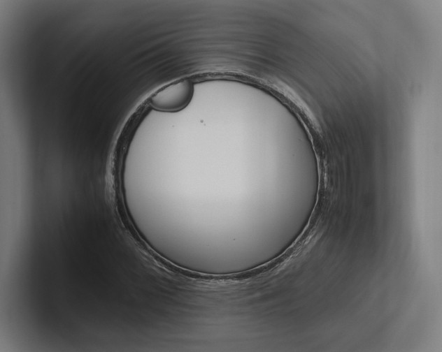 X0000102861068200808181021