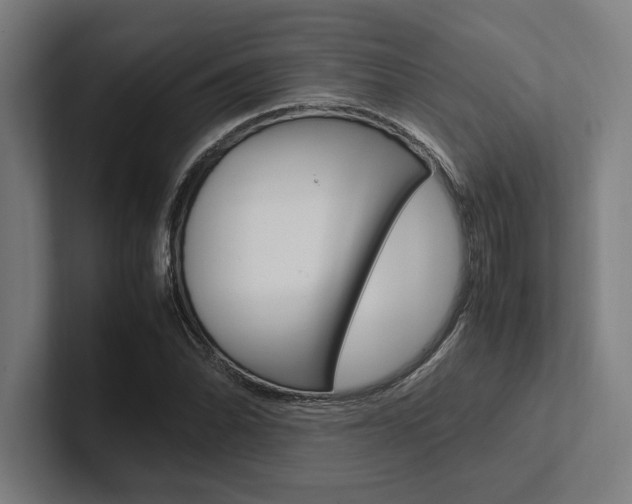 X0000102861070200808181021