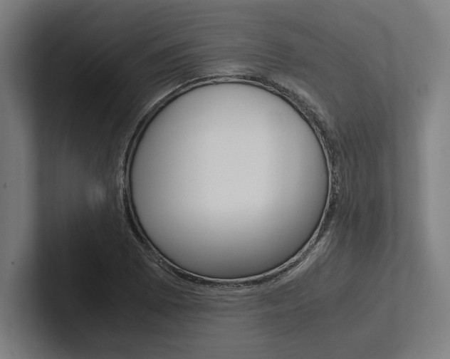X0000102861073200808181021