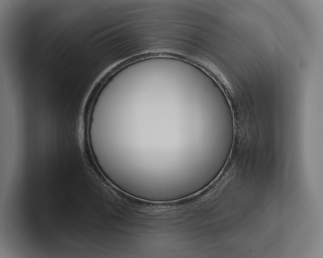 X0000102861076200808181021