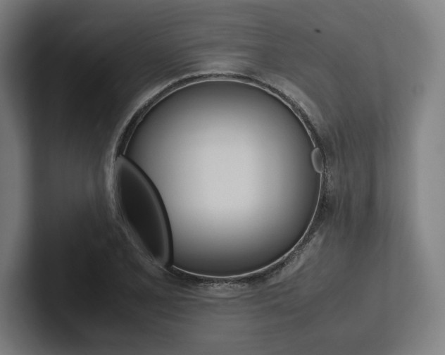 X0000102861077200808181021