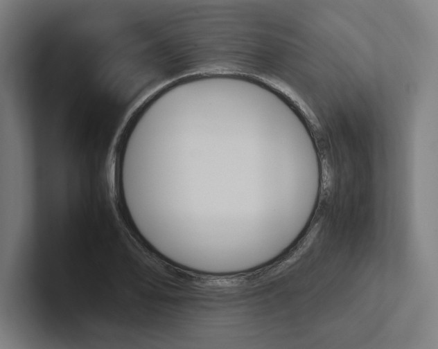 X0000102861078200808181021
