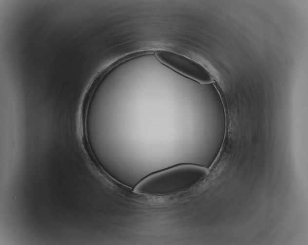 X0000102861080200808181021