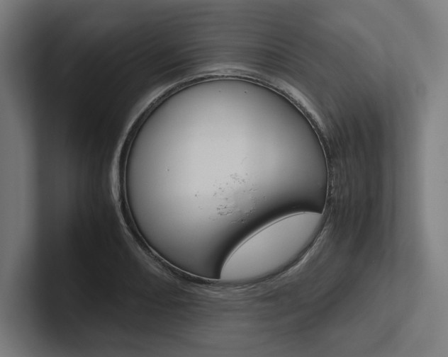 X0000102861082200808181020