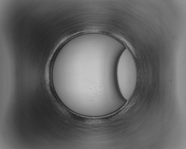 X0000102861083200808181020