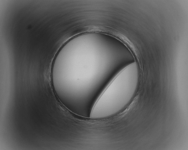 X0000102861089200808181020