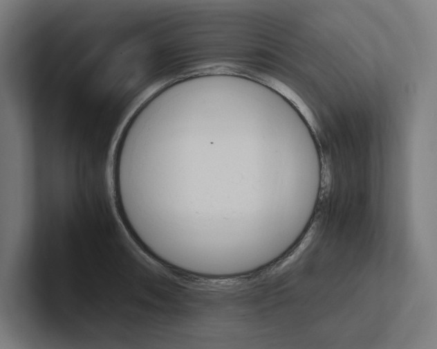 X0000102861090200808181020