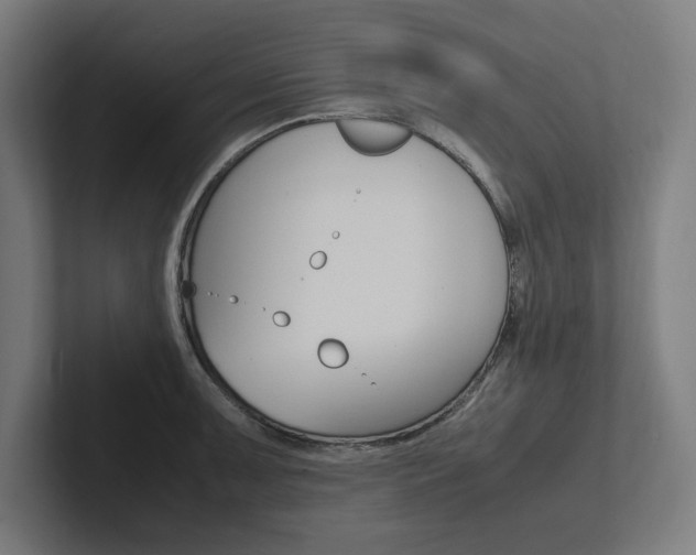 X0000102861091200808181020