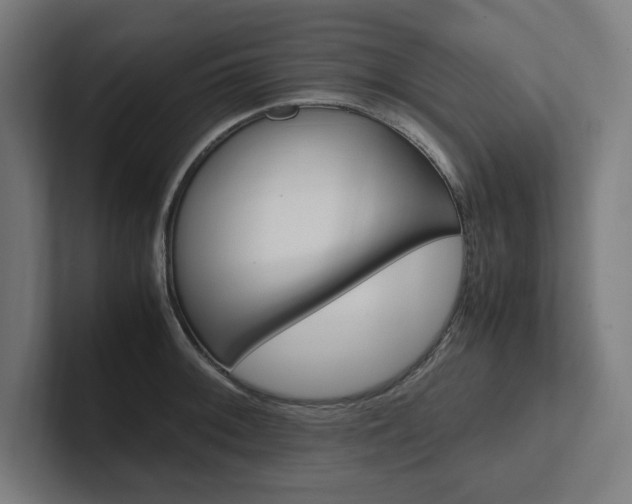 X0000102861092200808181020