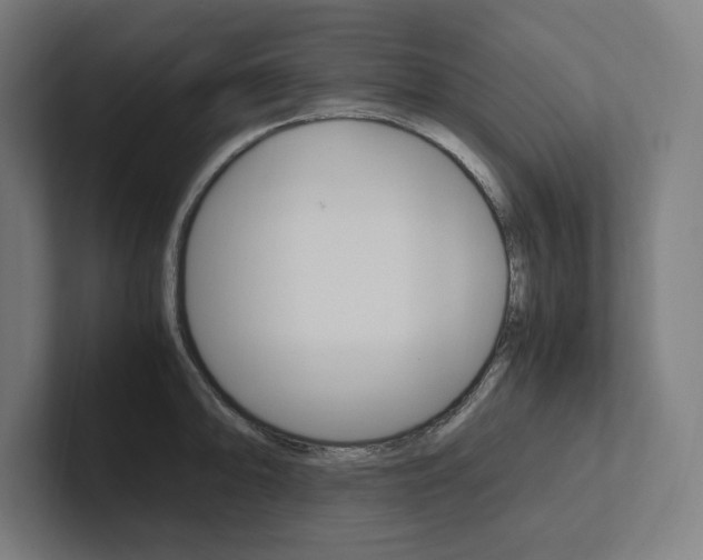 X0000102861094200808181020