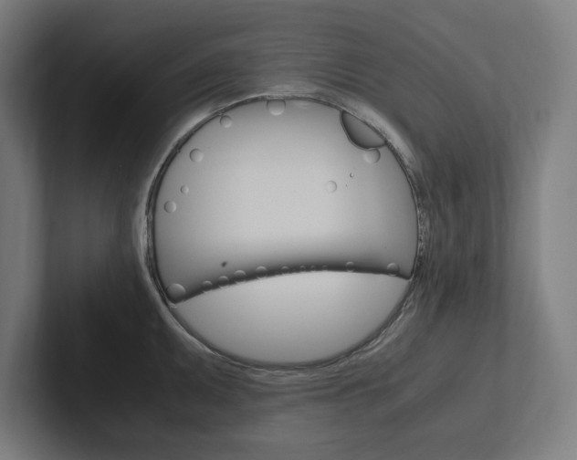 X0000102861095200808181020