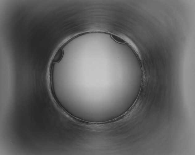 X0000102861096200808181020