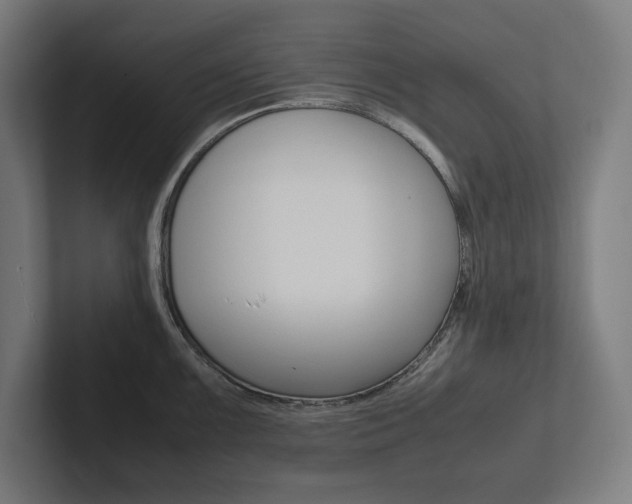 X0000102861099200808181020
