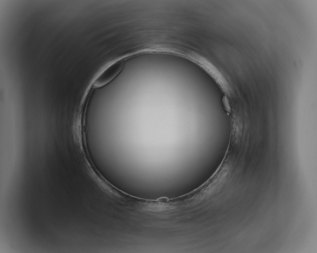 X0000102861100200808181020