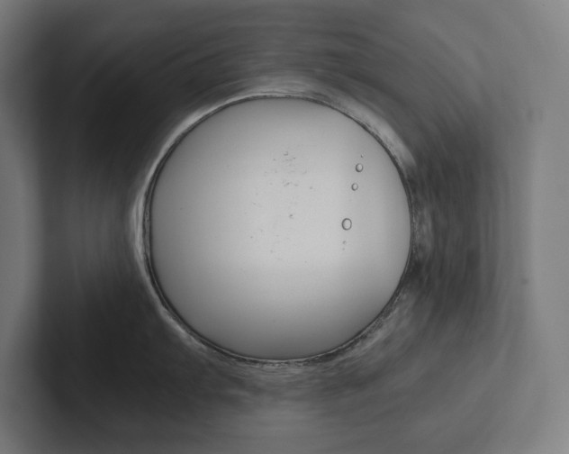 X0000102861103200808181020