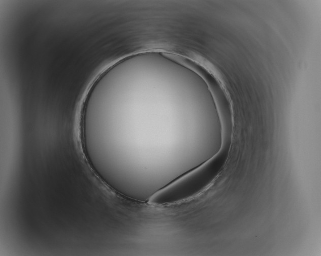 X0000102861104200808181020