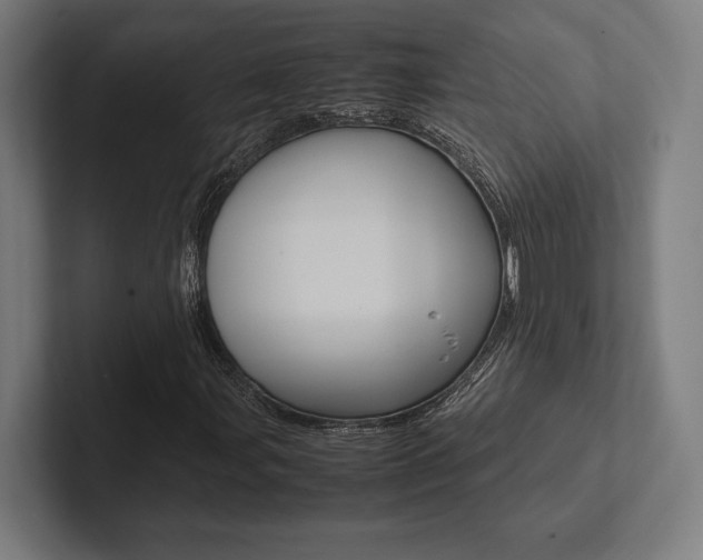 X0000102861107200808181019