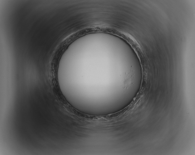 X0000102861112200808181020