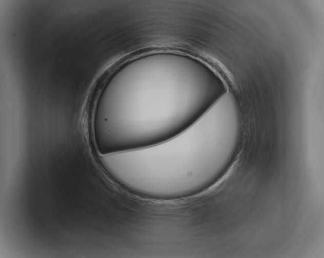 X0000102861114200808181020