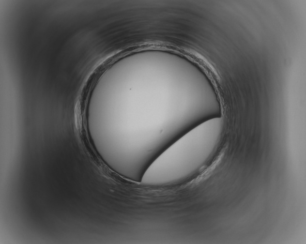 X0000102861117200808181020