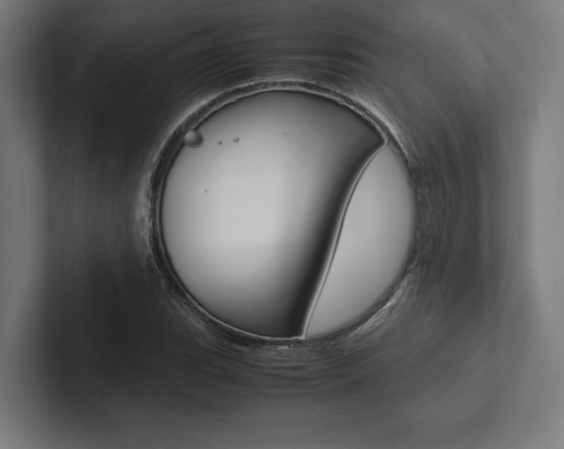 X0000102861119200808181020
