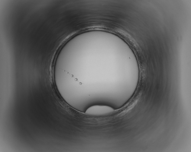 X0000102861121200808181020