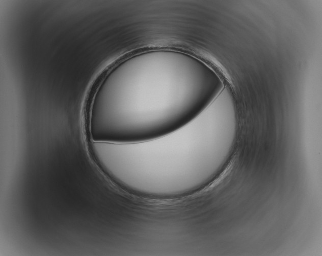 X0000102861122200808181020