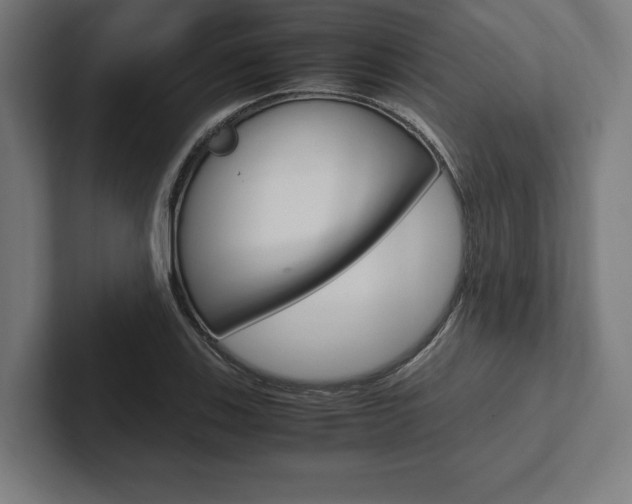X0000102861123200808181020