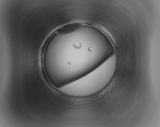 X0000102861124200808181020