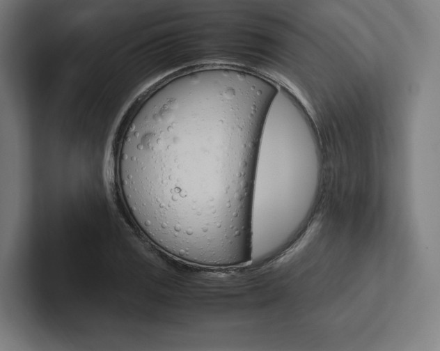 X0000102861125200808181020