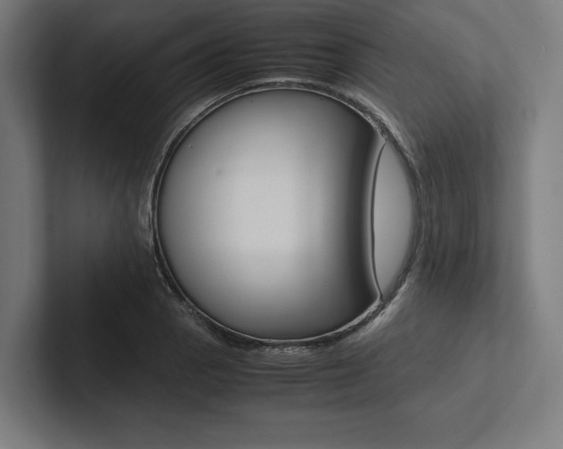 X0000102861129200808181020