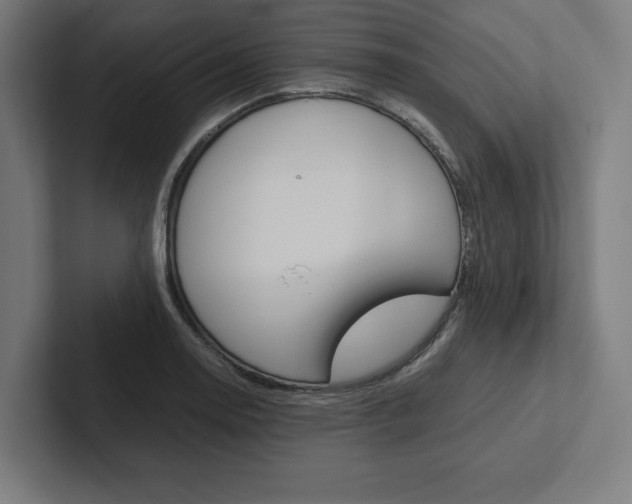 X0000102861130200808181020