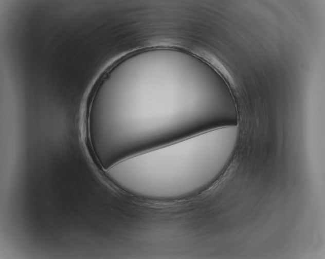 X0000102861132200808181020
