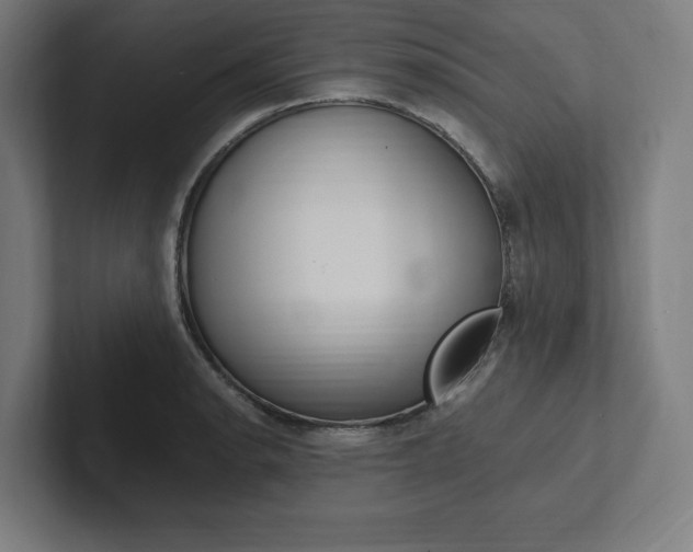 X0000102861134200808181020