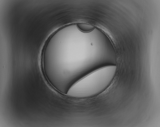 X0000102861135200808181020