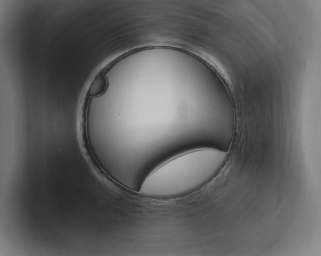 X0000102861136200808181020