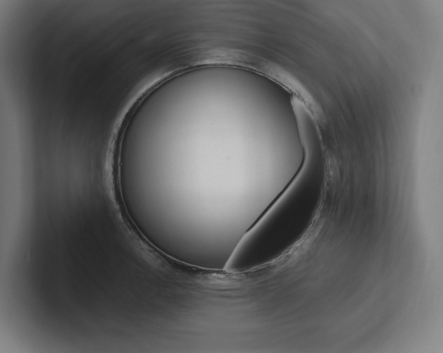 X0000102861138200808181020