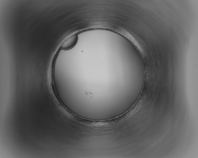 X0000102861140200808181020