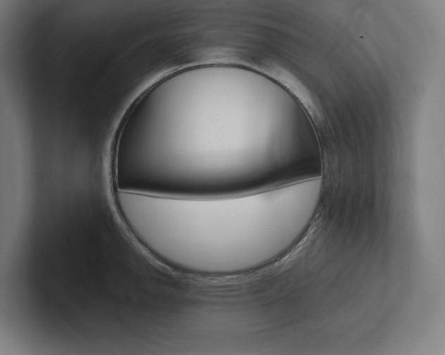 X0000102861142200808181020