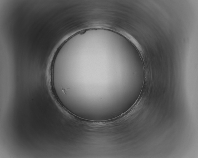 X0000102861144200808181020