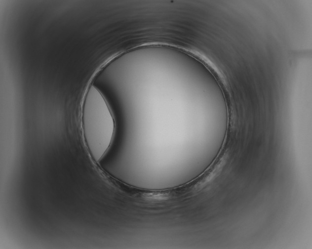 X0000102861145200808181020