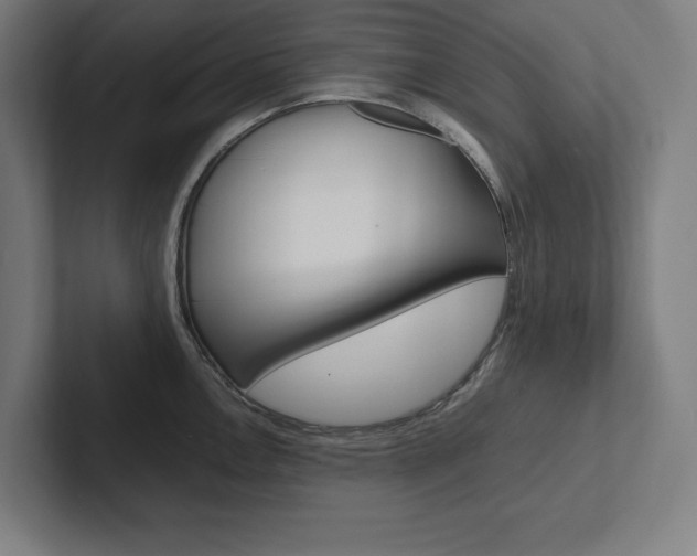 X0000102861146200808181020