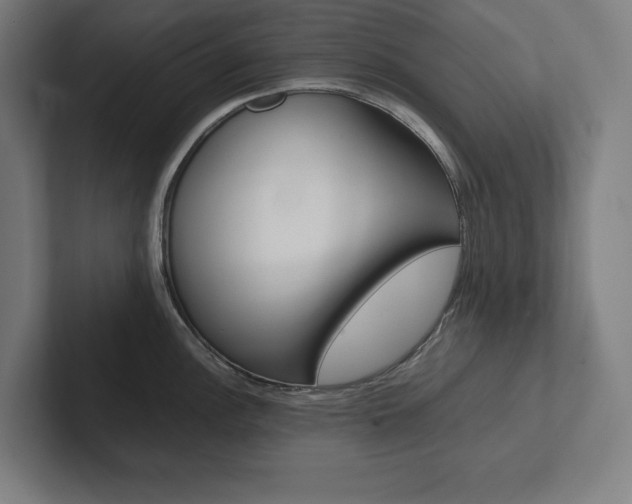 X0000102861148200808181020